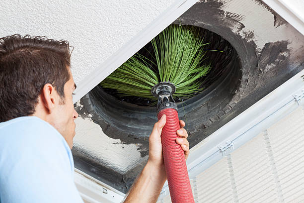 Best Affordable Air Duct Cleaning  in Mount Pleasant, SC