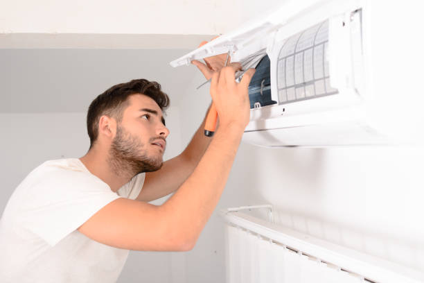 Best Home Air Vent Cleaning  in Mount Pleasant, SC